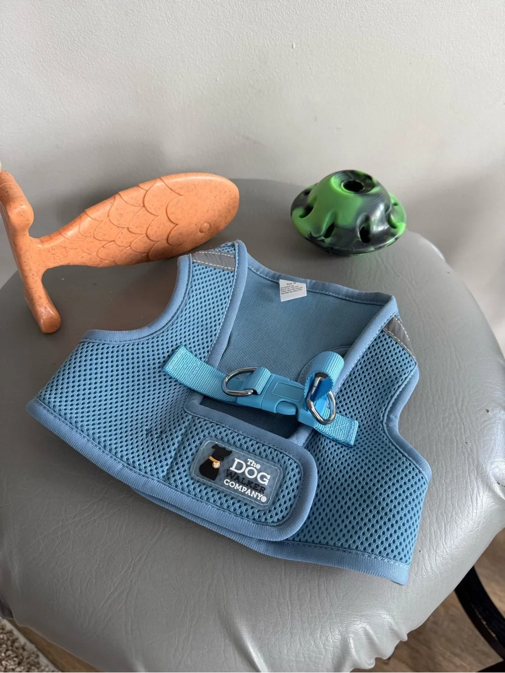 New Dog bundle